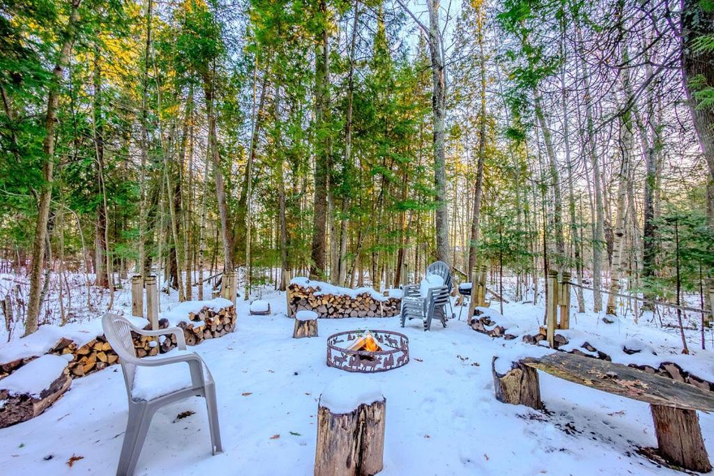 Hidden Gem, 3 Bed Cozy Condo - Dogs Welcomed Bayfield Bagian luar foto